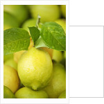 Fresh lemons by Anonymous