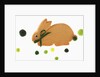 Bunny cookie with green pom-pom tail by Anonymous