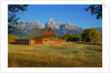 Barn and field by Anonymous