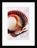 Fresh scallop in shell on ice by Anonymous