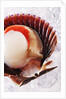 Fresh scallop in shell on ice by Anonymous