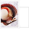 Fresh scallop in shell on ice by Anonymous