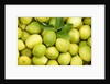 Fresh lemons by Anonymous