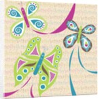 Butterfly by Anonymous