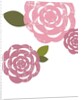 Pink roses by Anonymous
