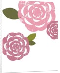 Pink roses by Anonymous