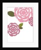 Pink roses by Anonymous
