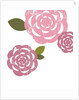 Pink roses by Anonymous
