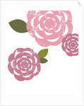 Pink roses by Anonymous