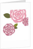 Pink roses by Anonymous