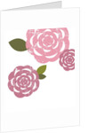 Pink roses by Anonymous