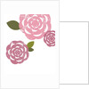 Pink roses by Anonymous