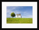 Lime tree and tiny white chapel in rural meadow by Anonymous