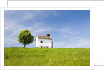 Lime tree and tiny white chapel in rural meadow by Anonymous