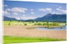Marshland around Lake Riegsee below the Bavarian Alps by Anonymous