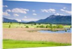 Marshland around Lake Riegsee below the Bavarian Alps by Anonymous