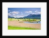 Marshland around Lake Riegsee below the Bavarian Alps by Anonymous