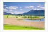 Marshland around Lake Riegsee below the Bavarian Alps by Anonymous