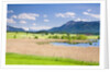 Marshland around Lake Riegsee below the Bavarian Alps by Anonymous