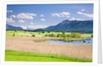 Marshland around Lake Riegsee below the Bavarian Alps by Anonymous