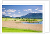Marshland around Lake Riegsee below the Bavarian Alps by Anonymous
