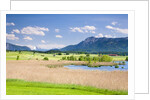 Marshland around Lake Riegsee below the Bavarian Alps by Anonymous