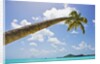 Idyllic tropical beach by Anonymous