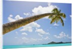 Idyllic tropical beach by Anonymous