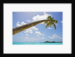 Idyllic tropical beach by Anonymous
