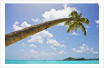 Idyllic tropical beach by Anonymous