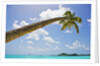 Idyllic tropical beach by Anonymous