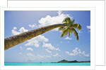 Idyllic tropical beach by Anonymous