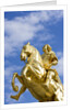 Golden Rider Equestrian Statue in Dresden by Anonymous
