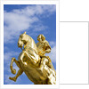 Golden Rider Equestrian Statue in Dresden by Anonymous