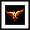 Phoenix by Anonymous