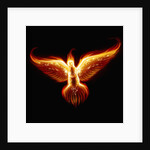 Phoenix by Anonymous