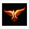 Phoenix by Anonymous