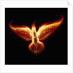 Phoenix by Anonymous