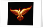 Phoenix by Anonymous