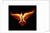 Phoenix by Anonymous