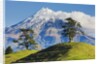 Lush hills in front of Mount Egmont by Corbis