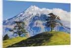 Lush hills in front of Mount Egmont by Corbis