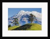 Lush hills in front of Mount Egmont by Corbis