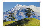 Lush hills in front of Mount Egmont by Corbis