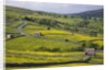 Stone barns and walls in fields by Anonymous