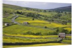 Stone barns and walls in fields by Anonymous