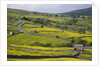 Stone barns and walls in fields by Anonymous