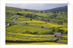 Stone barns and walls in fields by Anonymous