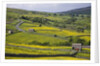 Stone barns and walls in fields by Anonymous