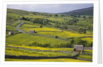 Stone barns and walls in fields by Anonymous